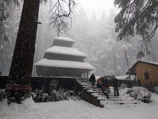 Manali Snow Escape image 4