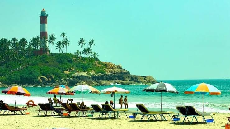 Kerala Backwater Delight image 5