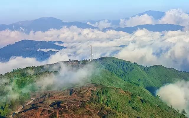 Darjeeling Toy Train & Tea Experience