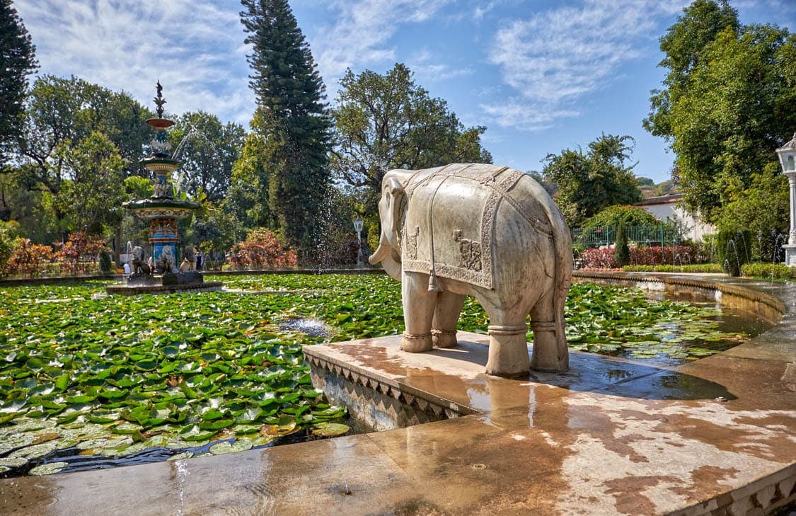 Udaipur Romantic Getaway image 4
