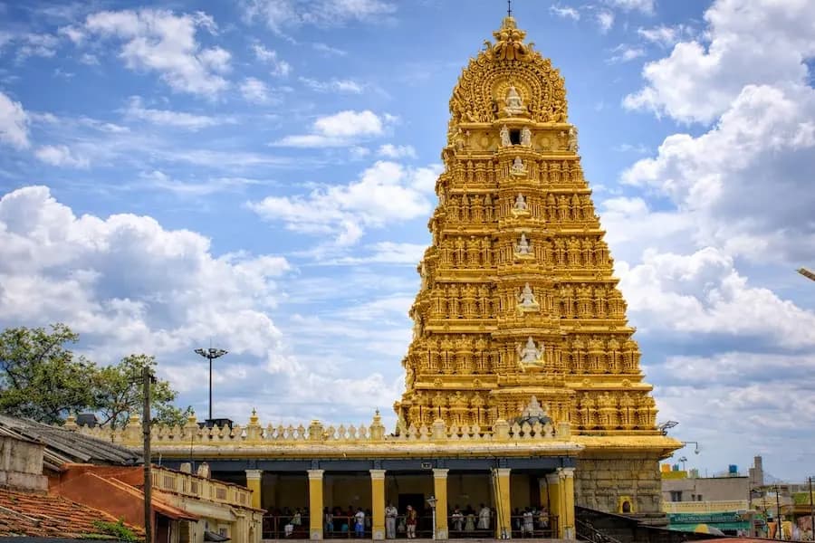 Mysore Royal Heritage image 2