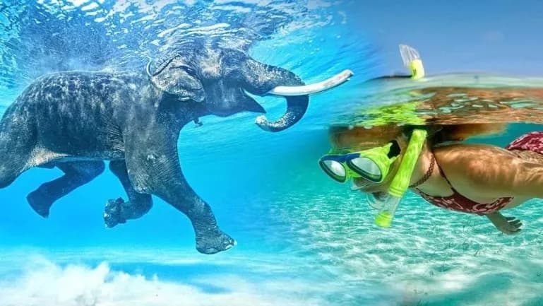 Andaman Beach Haven image 3