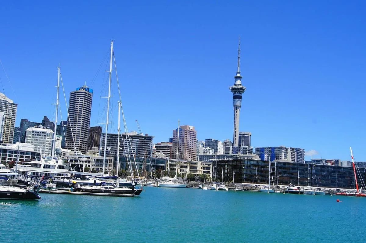 New Zealand Adventure