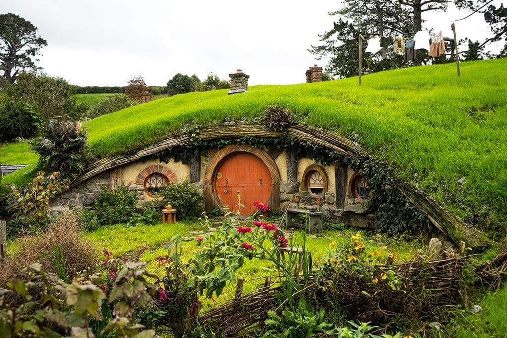 New Zealand Adventure image 2