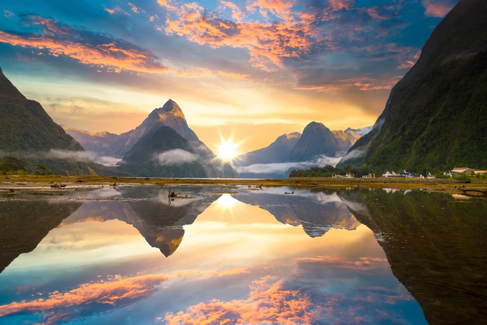 New Zealand Adventure image 5